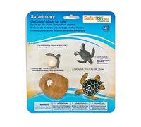 Safari Ltd Life Cycle of A Green Sea Turtle