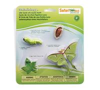 Safari Ltd- Life Cycle of a Luna Moth, 663516, LED anti-stress-531, 8.97"x 7.02" x 0.82"