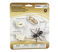 Safari acteurs Cycle de vie d'une fourmi beige/noir 4 parties