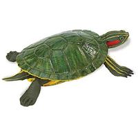 Safari Ltd Tortue à oreilles rouges verte A partir de 3 ans