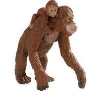 SAFARI - orang outan femelle avec bebe