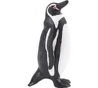 SAFARI - pingouin humboldt G