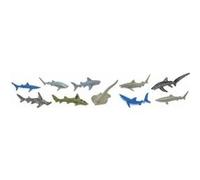 Safari reportage Le jeune Shark en 10 morceaux Multicolore G