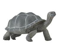 SAFARI - tortue des galapagos G