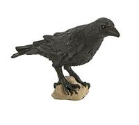 Safari Wings Of The World Raven