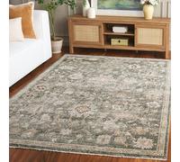 SAFAVIEH Salon Traditionnel, Salle à Manger, Chambre à Coucher - Hazel, Pile Moyenne, Vert/Beige, 122 x 183 cm