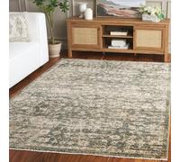 SAFAVIEH Salon Traditionnel, Salle à Manger, Chambre à Coucher - Hazel, Pile Moyenne, Vert/Beige, 122 x 183 cm