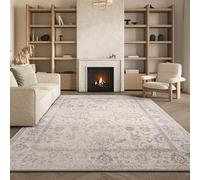 SAFAVIEH Tapis de Sol Vieilli pour Salon, Salle à Manger, Chambre à Coucher - Adirondack Collection, Tapis à Poil Court, Ivoire et Argent, 240 C 300 cm