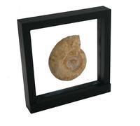 SAFE 4506 Cadre flottant 3D noir 180 x 180 mm | cadre pour pièce | cadre pour objet | cadre 3D noir pour vos pièces de collection