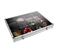 SAFE 5375 Vitrine de collection en aluminium couvercle transparent | support mural | pour minéraux, figurines, pierres, voitures miniatures | 12 compartiments | 395 x 300 x 65 mm
