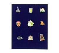 SAFE 6361 SP Tableau pour bijoux et pièces de monnaie, 185 × 232 mm, surface floquée bleu roi, insert en mousse rigide, convient aux coffres à pièces et cassettes
