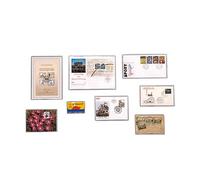 SAFE 9292 10 Klarsichthüllen mit offener Breitseite 220x310