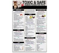 Safe and Toxic Food List for Dogs Cats Feeding Guide Diet Chart Educational Poster Pet Owner Gift Home Veterinary Clinic Office Decor(Framed,08x12inch(20x30cm))