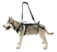 Safe Puppies Harnais réfléchissant et réglable pour chiens de petite et moyenne taille, harnais imperméable