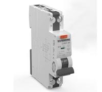 SAFEMORE Interrupteur FI/LS 10 A 30 mA 1P+N type A - Disjoncteur différentiel bidirectionnel RCBO avec capacité de commutation de 6 kA, courbe B10 B, certification TÜV - Rail DIN - Gris