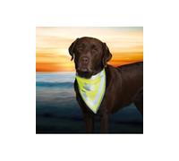 Safer Life Foulard Réfléchissant, L-Xl: 43-60 Cm - Mon Animalerie