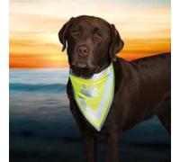 Safer Life Foulard Réfléchissant, S-M: 29-42 Cm - Mon Animalerie G