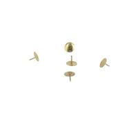 Safetool - Punaise Rivee Acien Laitonne - Boite De 100