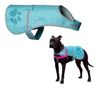SafetyPUP XD Gilet réfléchissant pour chien : plusieurs options de couleur avec haute visibilité fluorescente, aide à protéger votre animal dans les zones urbaines et rurales, avec ou sans laisse