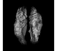 Saffronkeira - Cause and Effect