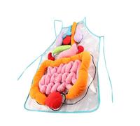 SAFIGLE 1ensemble Tablier Anatomie des Organes Humains Outil Éducatif pour Tablier Apprentissage des Organes Activités Ludiques Et Pédagogiques