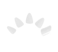 SAFIGLE 5pièces Clou Nylon Pour Doigt De Luth Clous De Luth Protège-doigts Accessoire Pour Instrument à Cordes