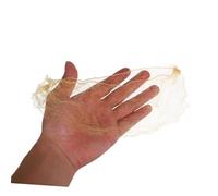 SAFIGLE 60 Pièces Filet à Chignon Doré Invisible Élastique Danseuse Garçon Fille Accessoires pour Élégantes et Performances