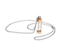 SAFIGLE Collier Urne Funéraire en Verre et Acier Inoxydable Pendentif Sablier pour Cendres pour Femme Souvenir Solide Taille Unique