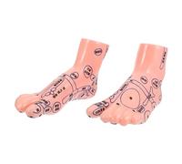 SAFIGLE Modèle de Massage des Pieds en PVC Points d'Acupuncture Outil d'Enseignement Solide pour Réflexologie Modèle d'Affichage Éducatif pour Étudiants de Bien-