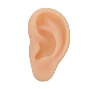 SAFIGLE Modèle Oreille Silicone Réaliste Pour Présentation Médicale Simulation Avec Canal Auditif Artificiel Pour Formation Professionnelle Et Affichage Pratique