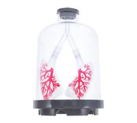 SAFIGLE Modèles de Poumons Éducatif Simulation du Mouvement Respiratoire Pulmonaire pour Cours de Biologie