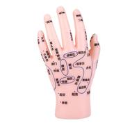 SAFIGLE Simulation Précise des Points Acupuncture Outil Pédagogique pour Enseignement Pratique Du Massage Médecine Traditionnelle Chinoise