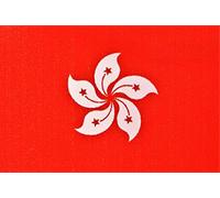 SAFIRMES 2 x Hong Kong Drapeau Magnet 6x3.5 cm Aimant déco Hong KONGI magnétique frigo