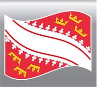 SAFIRMES 2X Sticker Drapeau Alsace 8X10cm Vinyle Autocollant Flag région Alsace