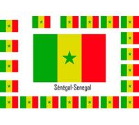 SAFIRMES Assortiment 15 Autocollants Vinyle Stickers Flag Drapeau Sénégal-Senegal