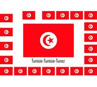 SAFIRMES Assortiment 15 Autocollants Vinyle Stickers Flag Drapeau Tunisie-Tunisia-Tunez