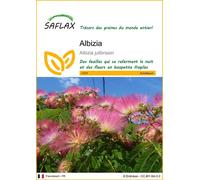 SAFLAX - Albizia - 50 graines - Albizia