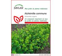 Saflax Alchémille Commune - 1 sachet