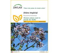 SAFLAX - Arbre impérial - 200 graines - Paulownia