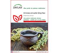 SAFLAX - Armoise annuelle Qing Hao - 250 graines - Artemisia