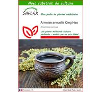 SAFLAX - Armoise annuelle Qing Hao - 250 graines - Avec substrat - Artemisia