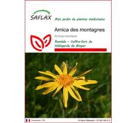 SAFLAX - Arnica des montagnes - 40 graines - Arnica