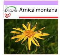 SAFLAX - Arnica des montagnes - 40 graines - Arnica montana