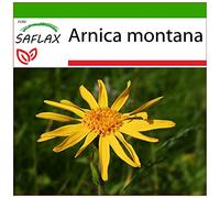 SAFLAX - Arnica des montagnes - 40 graines - Avec substrat - Arnica montana