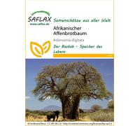 Saflax Baobab Africain - 1 sachet