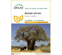SAFLAX - Baobab africain - 6 graines - Adansonia