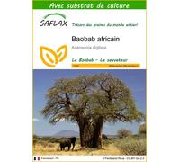 SAFLAX - Baobab africain - 6 graines - Avec substrat - Adansonia