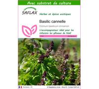 SAFLAX - Basilic cannelle - 200 graines - Avec substrat - Ocimum