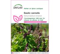 SAFLAX - Basilic cannelle - 200 graines - Ocimum