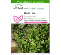 SAFLAX - Basilic thai - 200 graines - Avec substrat - Ocimum